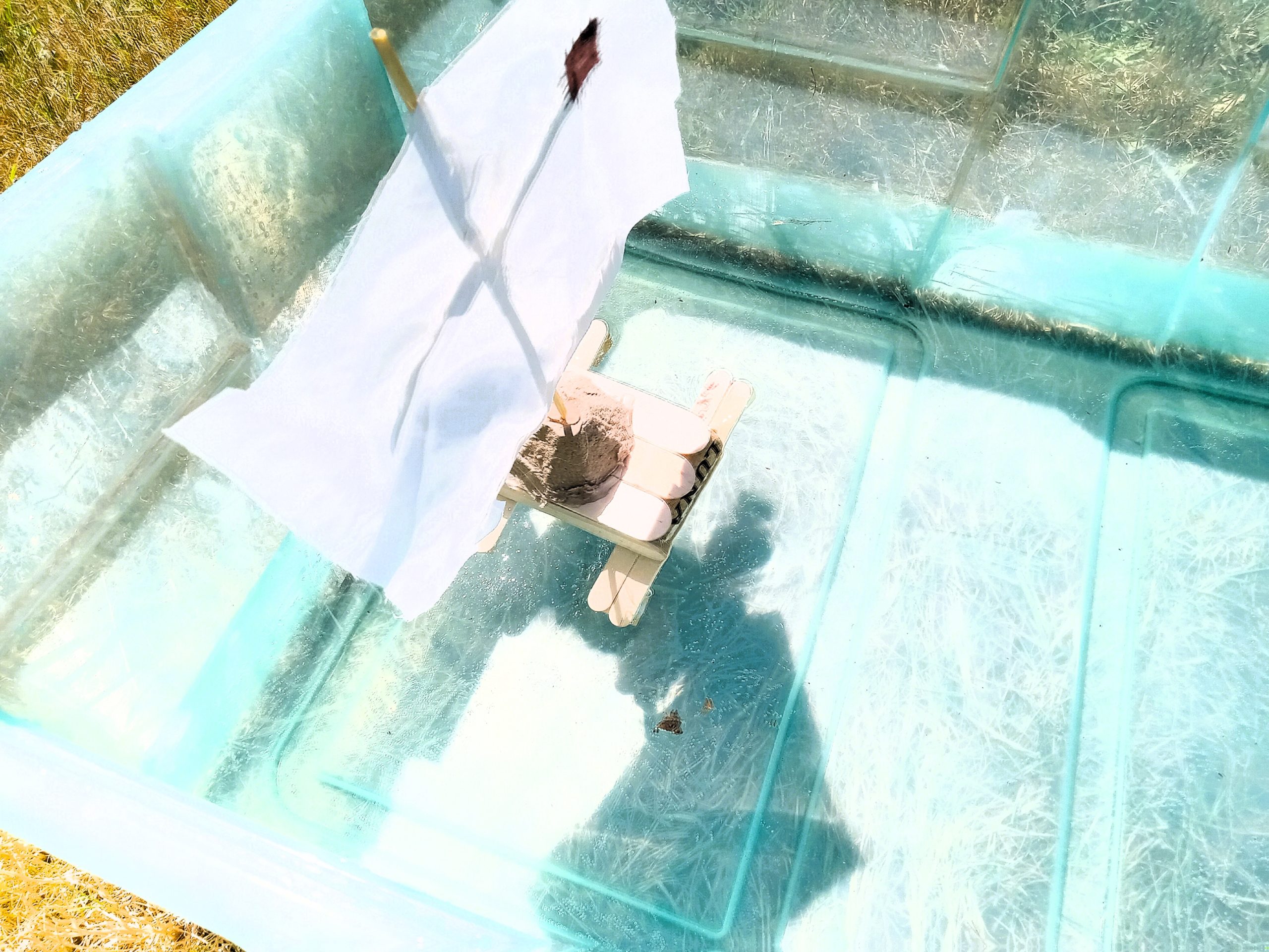 Water Rafts 2
